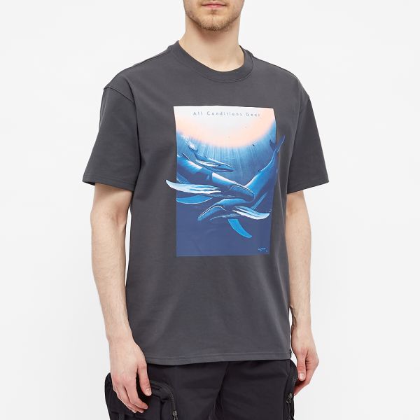whale tee