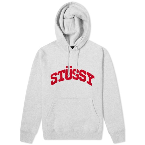 stussy college arch hoodie