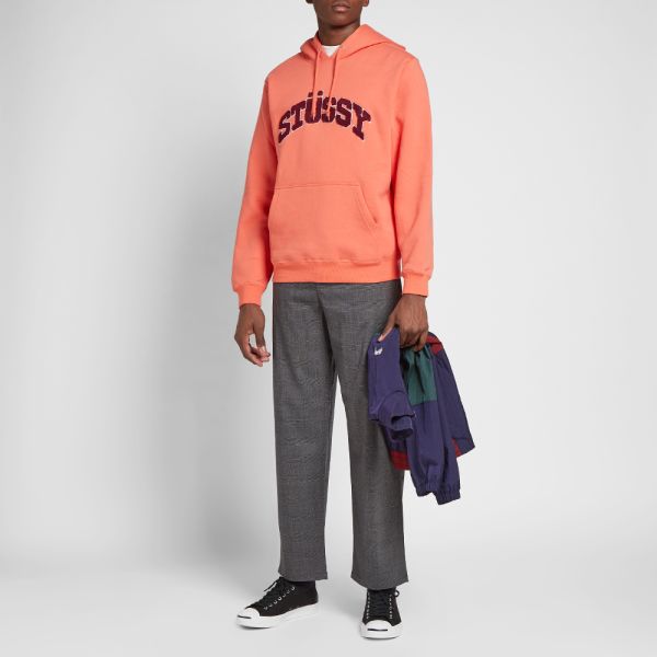 stussy chenille arch hoodie grey