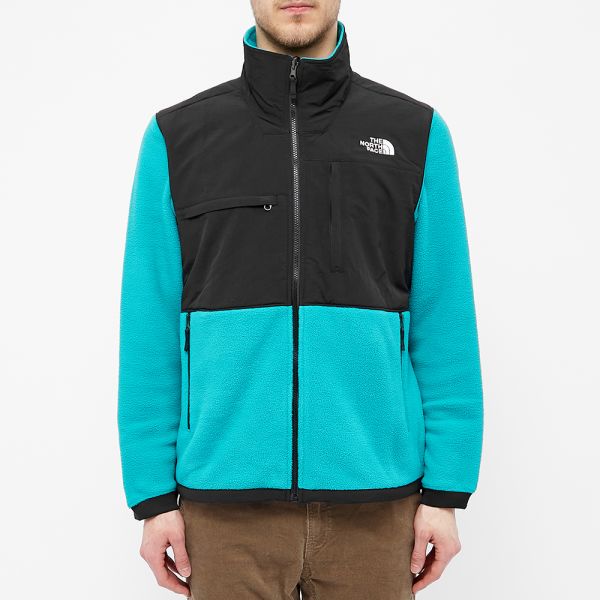 the north face denali 2 fleece