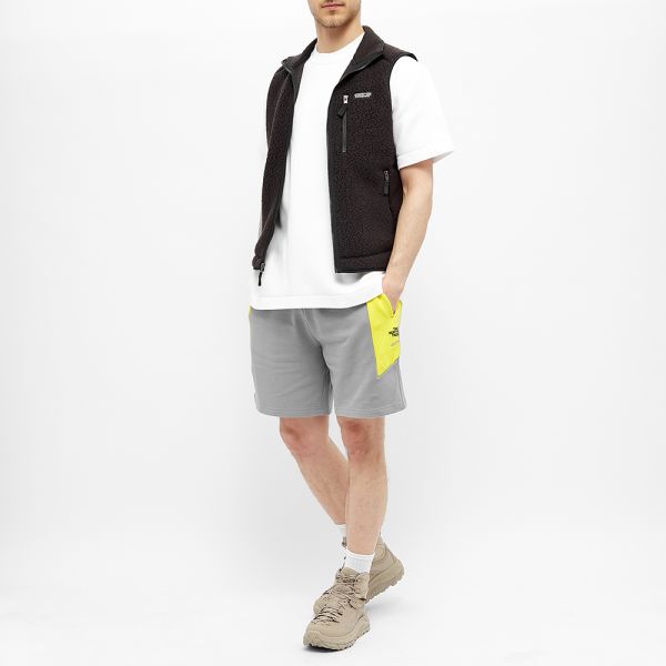 the north face shorts grey