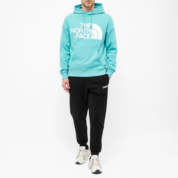 the north face standard hoodie