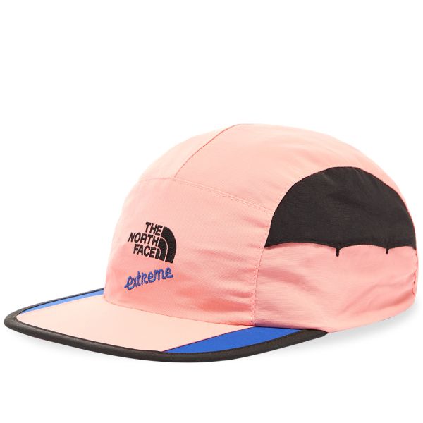 the north face cap beige